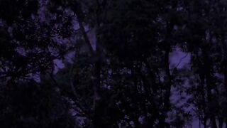Dark Nature