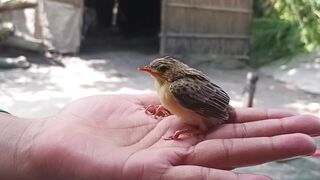 The bird is so nice this year