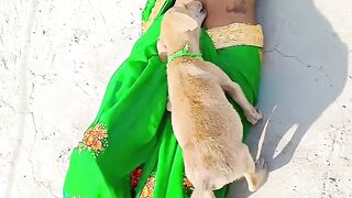 Navel lick by cute puppy