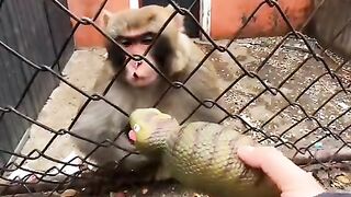 Fun   masti    FunVideo  funnyreels 168