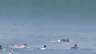 Fun   masti    FunVideo  funnyreels 169