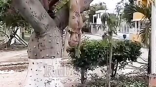 Fun   masti    FunVideo  funnyreels 175