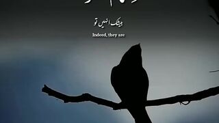 Beautifull recitation of The Holy Quran with