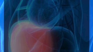 Liver Toxins Detox Guide  Cleanse Your Body Naturally
