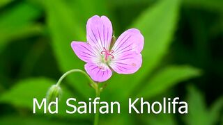 Abu Toha Muhammad Adnan Short Waz  Islamic Whatsapp Status Video 2023