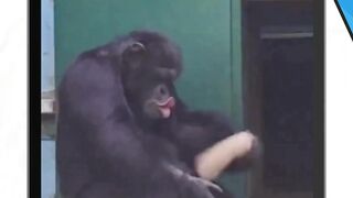 Di Hebei,suhu melonjak hingga di atas 40