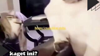 Anjingnya cuma bisa pasrah dimarahin kucing gara-gara BAB sembarangan