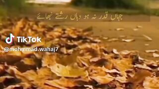Reshte tone ni chaye