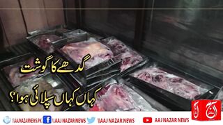 Donkey Meat Scandal Exposed! Shocking Facts Revealed in Investigation Report