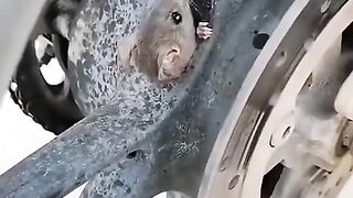 Fun   masti    FunVideo  funnyreels 187