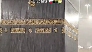 follow 5