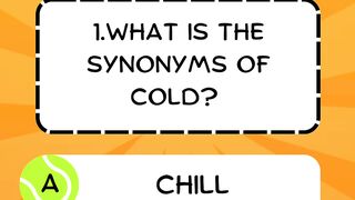 Can you guess the quiz?