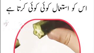 Online Earning app 2025 352