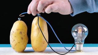 How to make a potato light bulb