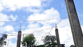 Views 11