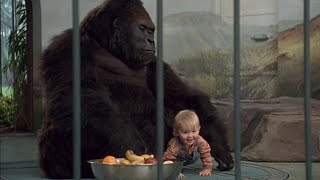 Babys day out movie funny scene