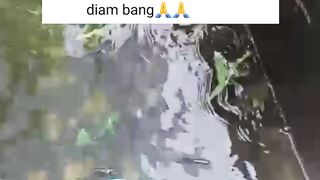 Lebih baik air diam atau mengalir untuk ikan lele