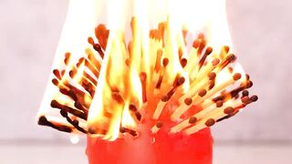 Amazing Videos 2