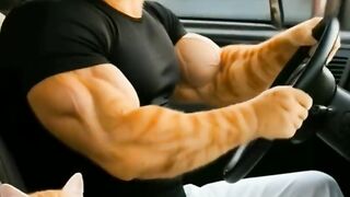 The little cat who fix this car