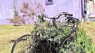 Good job,the latest clips are more satisfying lawncare
