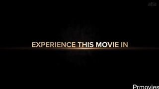 Zebra (2024) Hindi Dubbed