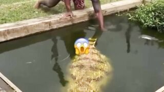 Funny video