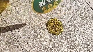 Fun   masti    FunVideo  funnyreels 201
