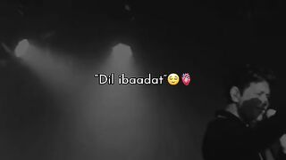 Dil ibaadat