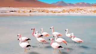 Salar de Uyuni - unique salt flats located in Bolivia, on the desert high plain of the Altiplano