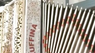 Filipe de Oliveira, the artist who plays perfectly. music folklore music accordion