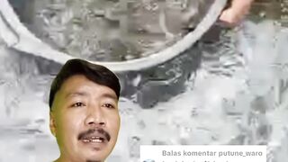 Bak sortir untuk segmen pembesaran