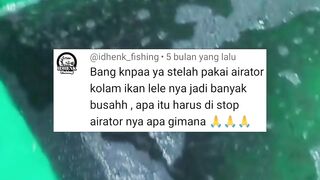 Kenapa air kolam BERBUSA setelah dipasang aerator