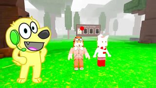 Roblox 14