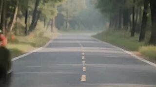 The cat who cared by cat but at the last moment