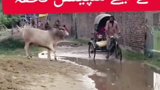 لف نہ دینا