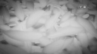 Тёмный дворецкий s1 1