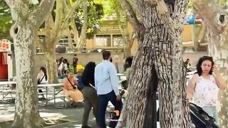 amazing Tree with human