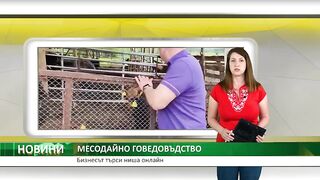 МЕСОДАЙНО ГОВЕДОВЪДСТВО АГРИ .БГ