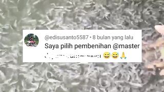 Segmen budidaya lele yang paling menguntungkan