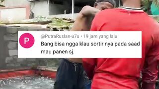 Jika tidak mau SORTIR tebar lele ukuran ini