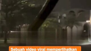 PANIK! Ular Sanca Muncul di Kaca Mobil!