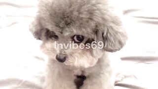 Funniest Side Eye Ever Given