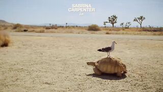 Sabrina Carpenter - Manchild (Official Video)(720PHD)