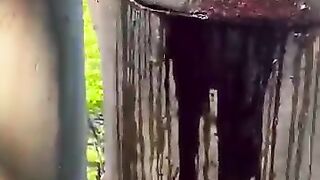 Why The Tree Is Bleeding
