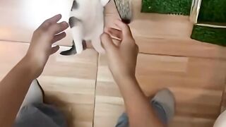 The cuteness almost killed me