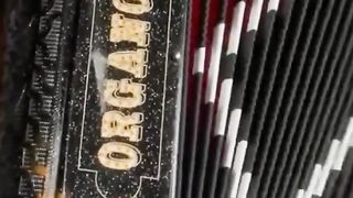 Another great artist with fantastic music. music diverseculture accordion greekculture