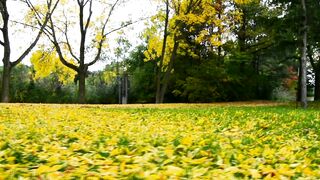 966554674934 حبوب سايتوتيك في خميس مشيط