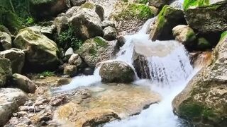 ASMR Water Flow In Forest