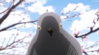 Kakkou no Iinazuke 2nd Seasons Episodes 4