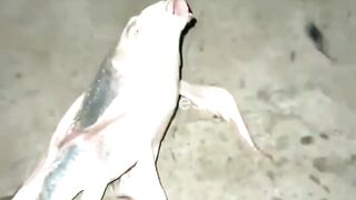 Caught a beautiful fish